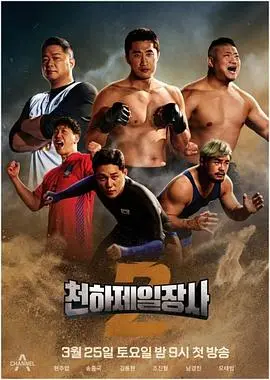 英雄传奇续章：天下第一壮士第二季的热血冒险与成长之路