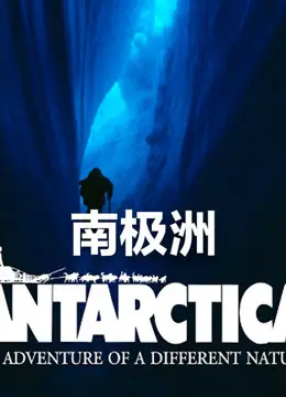 《南极洲》：冰封世界的终极“海岛”求生，谁能在这片白色炼狱中活下来？