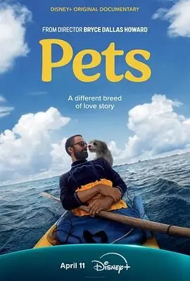 《宠 Pets》：萌宠背后的生命启示，一场触动心灵的视觉盛宴！
